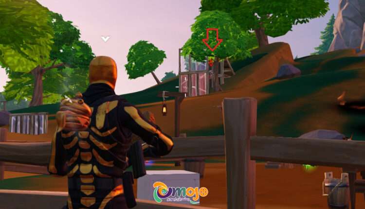 فورتنایت